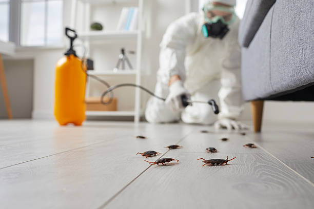 Commercial Kitchen Cockroach Control in Crookston